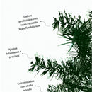 Árvore de Natal 120cm Decorada Verde ou Nevada com 87 Enfeites e 100 Galhos