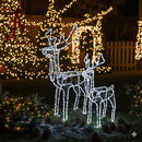 Família de Renas de Natal Iluminadas com Movimento para Quintal